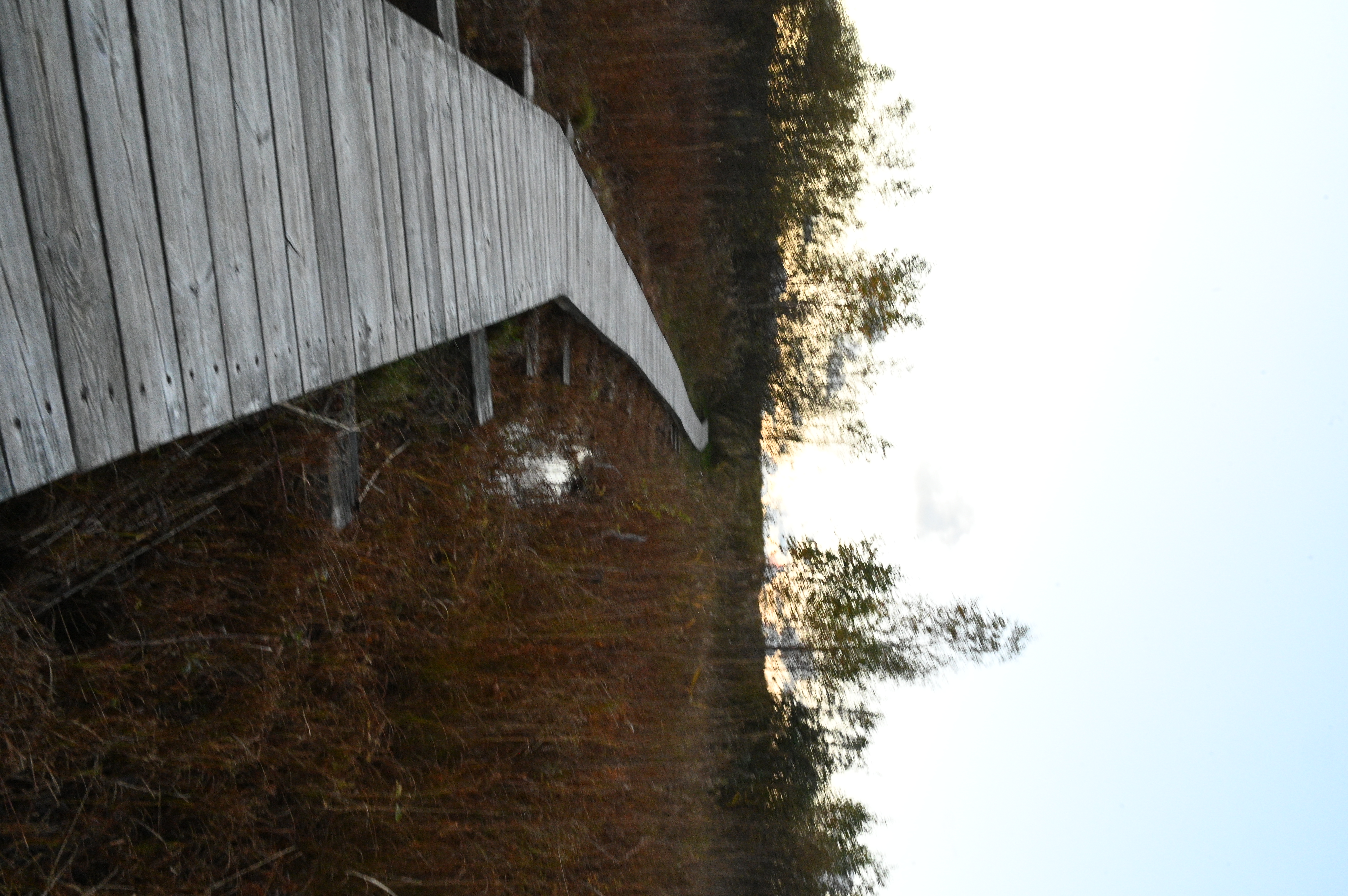 2025/10/18 - walk/DSC_0534.JPG